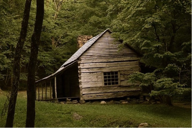 What Tools Do I Need to Build a Log Cabin? Essential Gear & Cost