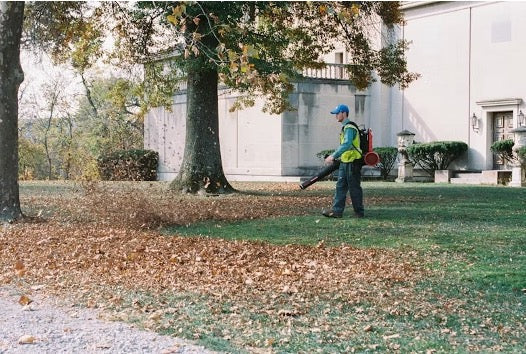 3 Best Batteries for Milwaukee Leaf Blower (with Comparison Chart)